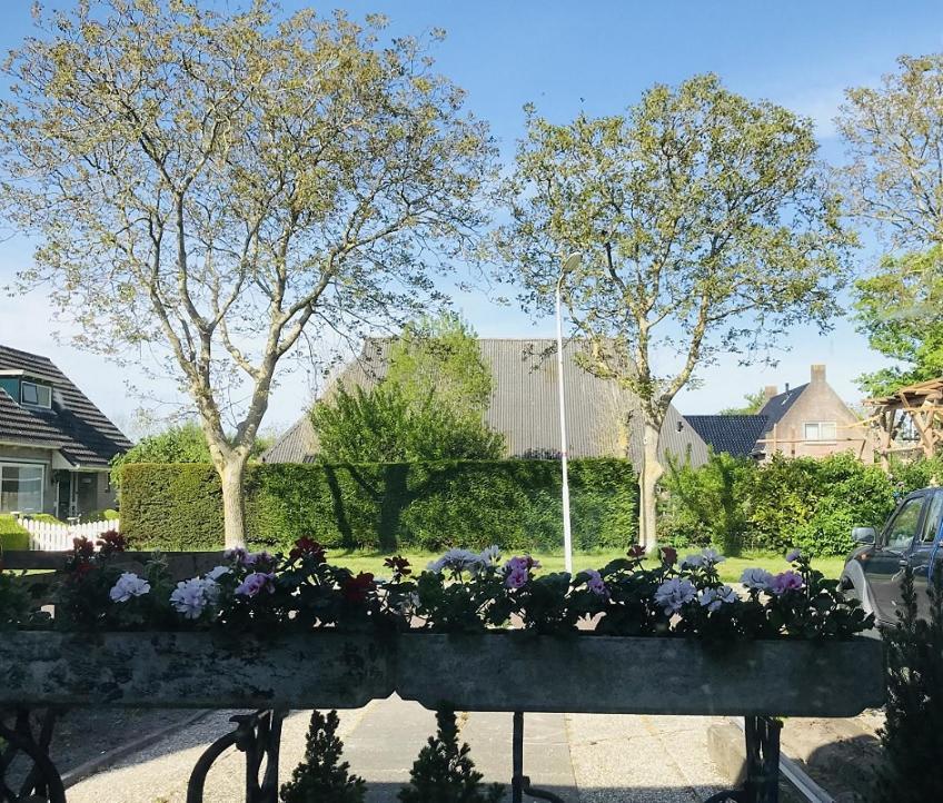 De Fryske Wyn Bed & Breakfast Ferwerd Exterior foto
